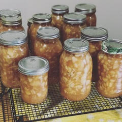 Canning and Food Preservation 