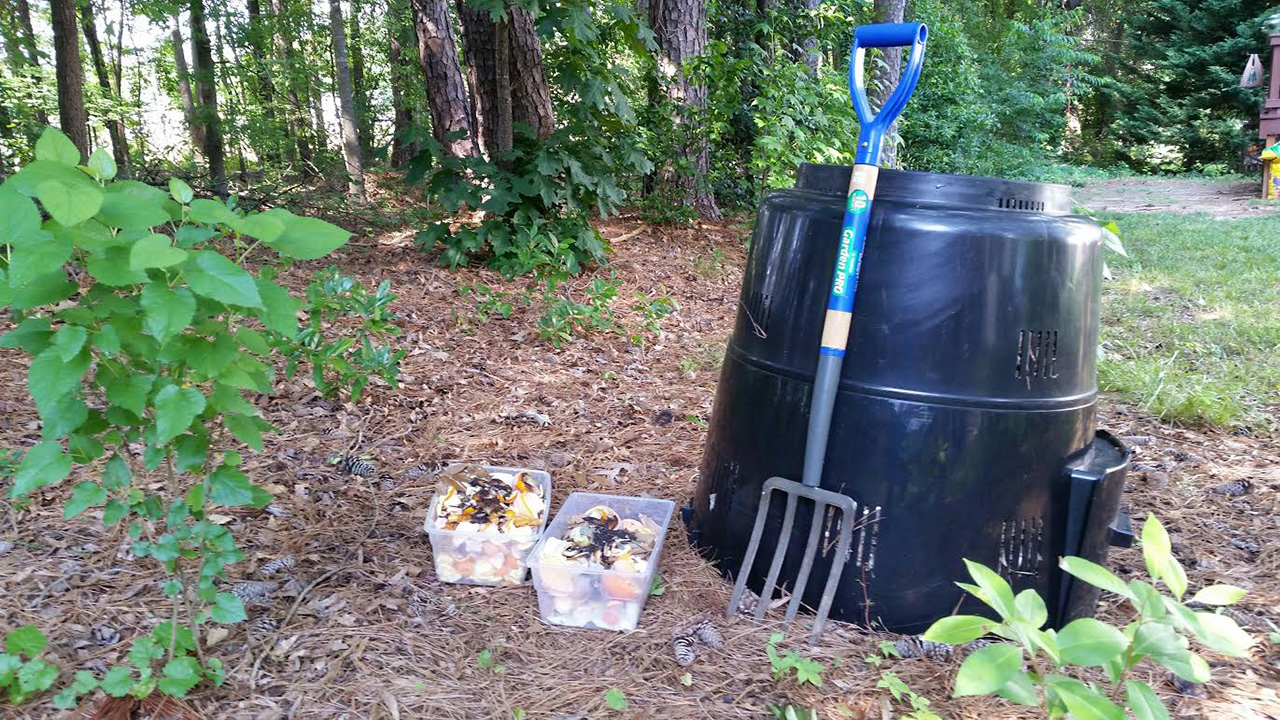 Compost bin and garden