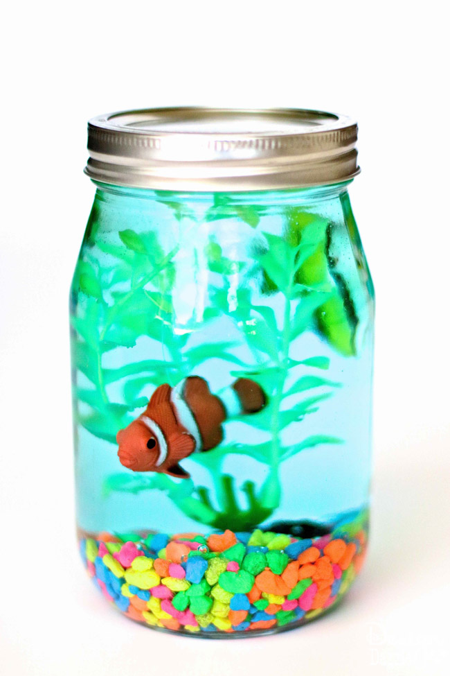 Aquarium jar