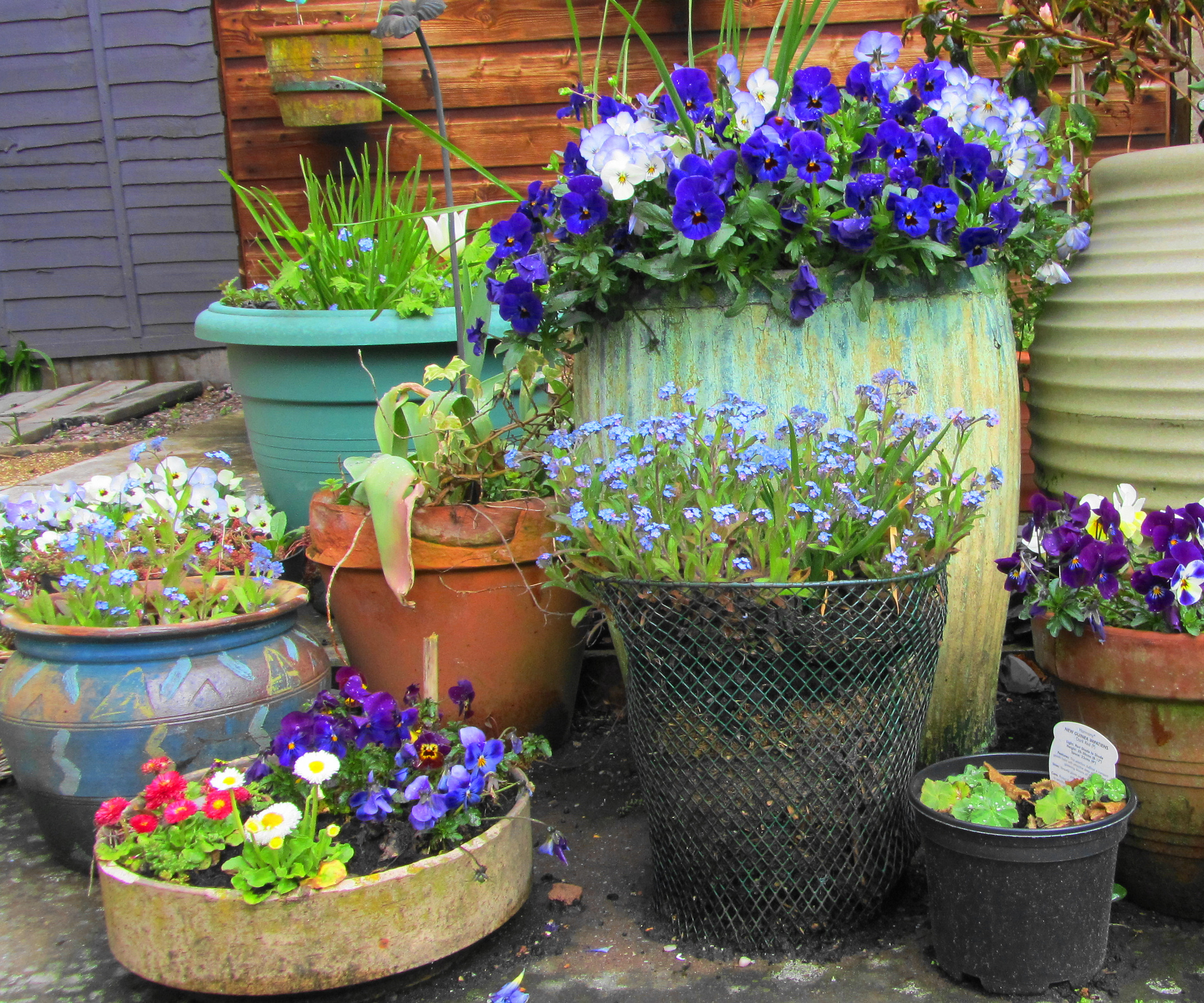Plant Containers 
