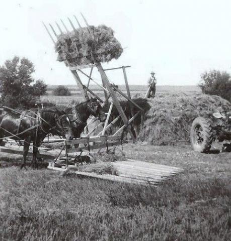 Farming History 