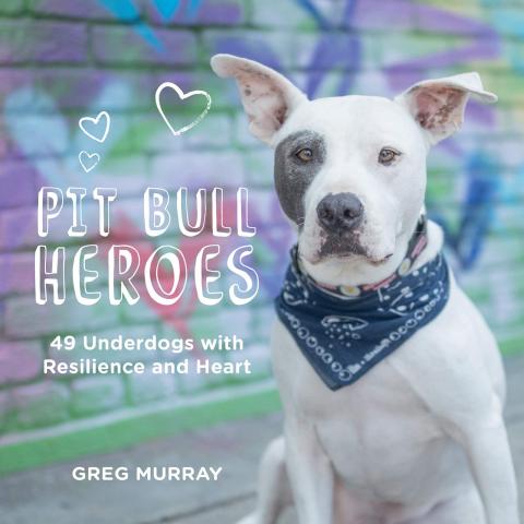 Pit Bull Heroes by Greg Murray 