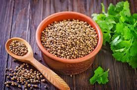 Coriander 