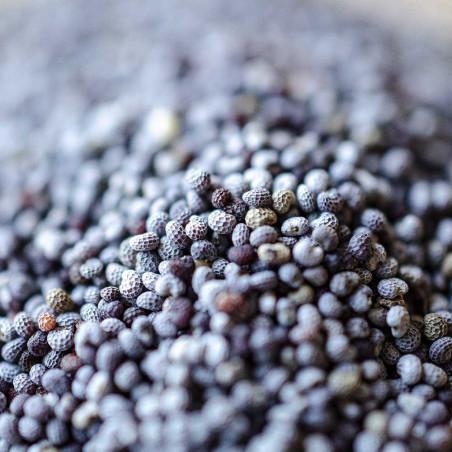 poppy seeds, spice of the month