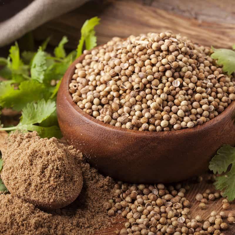 coriander, spice of the month